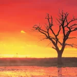 കൊ​ടും ചൂ​ട് തു​ട​രും; ഏ​പ്രി​ൽ 10വ​രെ വിവിധ ജില്ലകളിൽ യെ​ല്ലോ അ​ല​ർ​ട്ട്