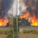 സുല്‍ത്താന്‍ ബത്തേരിയില്‍ വന്‍ കാട്ടുതീ; വീഡിയോ