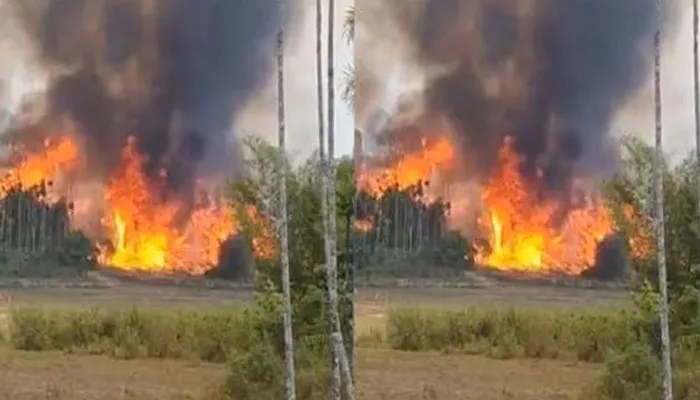 സുല്ത്താന് ബത്തേരിയില് വന് കാട്ടുതീ; വീഡിയോ