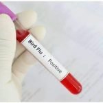 കേരളത്തിൽ വീണ്ടും പക്ഷിപ്പനി സ്ഥിരീകരിച്ചു