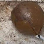 കുന്നംകുളത്ത് സ്കൂളിന് സമീപം സ്ഫോടവസ്തു കണ്ടെത്തി