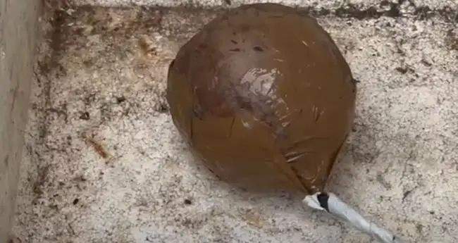 കുന്നംകുളത്ത് സ്കൂളിന് സമീപം സ്ഫോടവസ്തു കണ്ടെത്തി