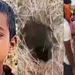 കളിച്ചുകൊണ്ടിരിക്കുന്നതിനിടെ ആറുവയസുകാരന് കുഴല്ക്കിണറില് വീണു; രക്ഷാപ്രവര്ത്തനം പുരോഗമിക്കുന്നു