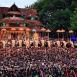 തൃശൂര് പൂരത്തിനുള്ള ആനകളുടെ സുരക്ഷയ്ക്ക് കൂടുതല് ക്രമീകരണം