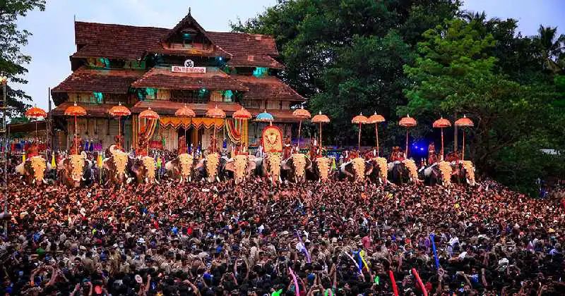 തൃശൂര്‍‌ പൂരത്തിനുള്ള ആനകളുടെ സുരക്ഷയ്‌ക്ക് കൂടുതല്‍ ക്രമീകരണം