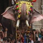 തൃശൂർ പൂരത്തിൽ പങ്കെടുക്കാൻ തെച്ചിക്കോട്ടുകാവ് രാമചന്ദ്രന് ഫിറ്റ്നസ്