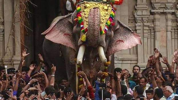 തൃശൂർ പൂരത്തിൽ പങ്കെടുക്കാൻ തെച്ചിക്കോട്ടുകാവ് രാമചന്ദ്രന് ഫിറ്റ്നസ്