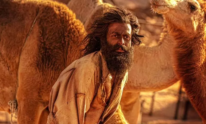 ബോക്സ് ഓഫീസ് റെക്കോർഡുകൾ തകർത്ത് ആടുജീവിതം 150 കോടി ക്ലബിൽ