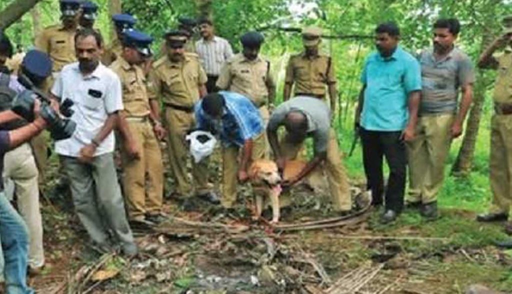 പാനൂര്‍ ബോംബ് സ്‌ഫോടനം: ഒളിവിലുള്ള പ്രതികള്‍ക്കായി അന്വേഷണം ഊര്‍ജിതം