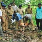 പാനൂര്‍ ബോംബ് സ്‌ഫോടനം: ഒളിവിലുള്ള പ്രതികള്‍ക്കായി അന്വേഷണം ഊര്‍ജിതം