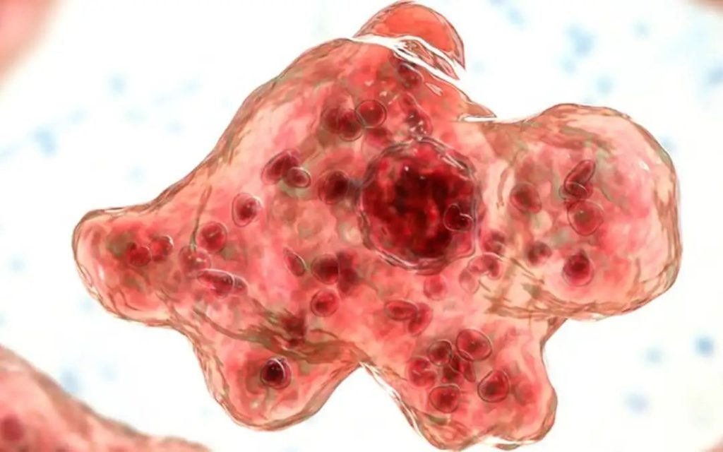 കേരളത്തിൽ വീണ്ടും അമീബിക് മസ്തിഷ്ക ജ്വരം; ആറു വയസുകാരന് ഗുരുതരാവസ്ഥയില്