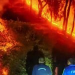 ഉത്തരാഖണ്ഡിലെ കാട്ടുതീയിൽ നശിച്ചത് 1300 ഹെക്ടർ; അഞ്ച് പേർക്ക് ജീവൻ നഷ്ടമായി