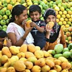 ലാൽബാഗ് മാമ്പഴമേള 23 മുതൽ