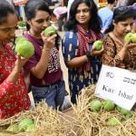 ലാൽ ബാഗ് മാമ്പഴ മേളയ്ക്ക് തുടക്കം