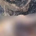 കുറ്റിപ്പുറത്ത് പുരുഷന്റെ മൃതദേഹം കത്തിക്കരിഞ്ഞ നിലയില്‍