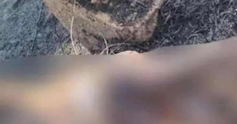 കുറ്റിപ്പുറത്ത് പുരുഷന്റെ മൃതദേഹം കത്തിക്കരിഞ്ഞ നിലയില്‍