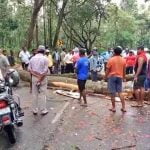 ശക്തമായ മഴയ്ക്ക് സാധ്യത; അപകടാവസ്ഥയിലായ മരങ്ങൾ ശ്രദ്ധയിൽപ്പെട്ടാൽ ഉടൻ അറിയിക്കണമെന്ന് ബിബിഎംപി