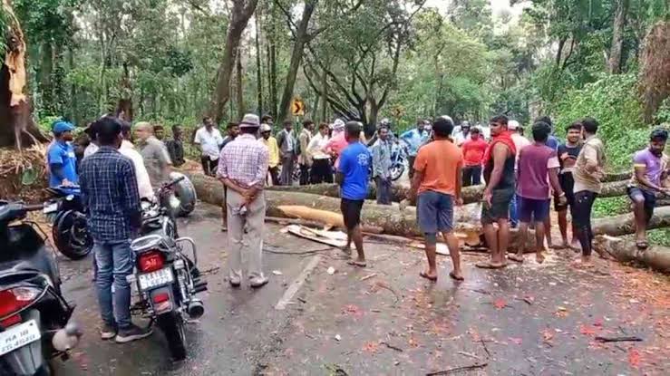 ശക്തമായ മഴയ്ക്ക് സാധ്യത; അപകടാവസ്ഥയിലായ മരങ്ങൾ ശ്രദ്ധയിൽപ്പെട്ടാൽ ഉടൻ അറിയിക്കണമെന്ന് ബിബിഎംപി