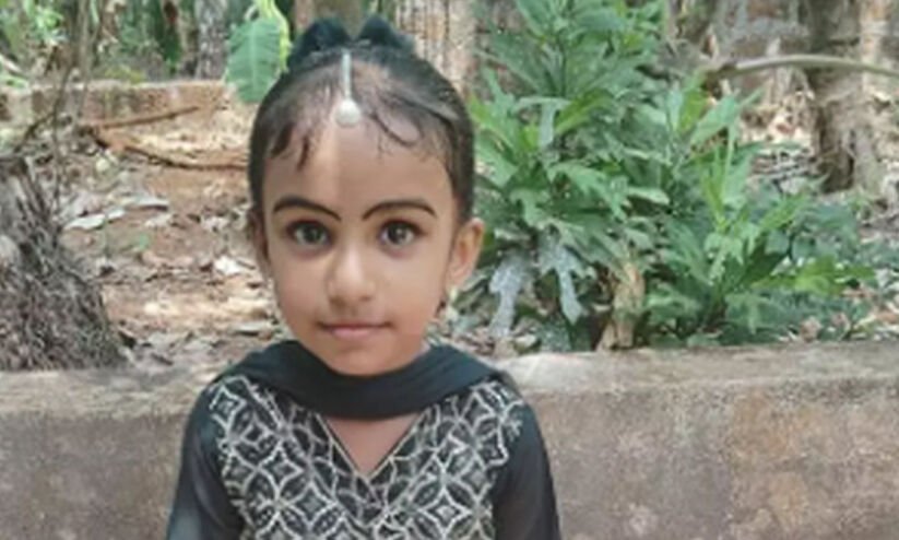 അമീബിക് മസ്തിഷക ജ്വരം: ചികിത്സയിലായിരുന്ന പെൺകുട്ടി മരിച്ചു