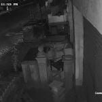 അപകടത്തിൽ പരുക്കേറ്റ സുഹൃത്തിനെ വഴിയിൽ ഉപേക്ഷിച്ച് യുവാവ്; 17-കാരന് ദാരുണാന്ത്യം