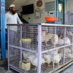 ബെംഗളൂരുവിൽ കോഴിയിറച്ചി വില കുതിച്ചുയരുന്നു