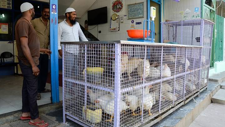 ബെംഗളൂരുവിൽ കോഴിയിറച്ചി വില കുതിച്ചുയരുന്നു