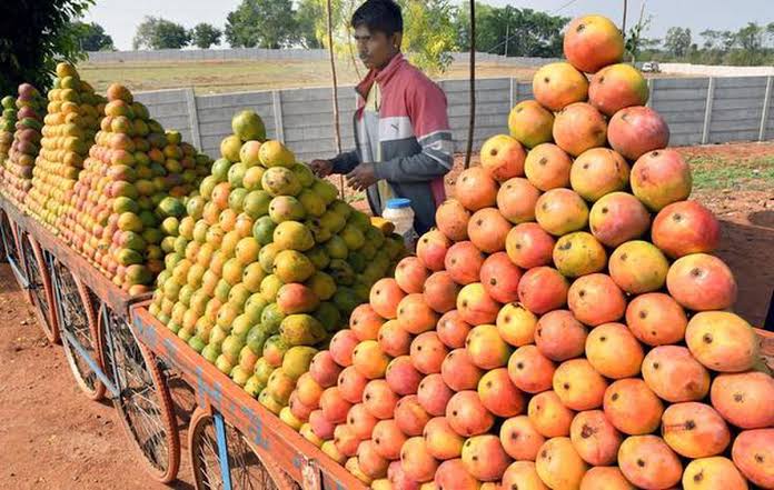 വിലയിലെ വർധന; മാമ്പഴ വിൽപനയിൽ ഇടിവ്