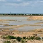 വേനൽചൂട്; ബെം​ഗളൂരുവിൽ 800 തടാകങ്ങളിൽ 125 എണ്ണം വറ്റി