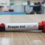 ബെംഗളൂരുവിൽ ഡെങ്കിപ്പനി കേസുകൾ വർധിക്കുന്നു