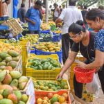 ഹോപ്‌കോംസിന്റെ മാമ്പഴ മേളയ്ക്ക് തുടക്കം