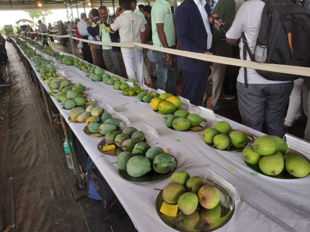 മാമ്പഴ, ചക്കപ്പഴ മേളയ്ക്ക് ഇന്ന് തുടക്കം