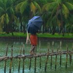 മഴ മുന്നറിപ്പിൽ മാറ്റം; എട്ട് ജില്ലകളിൽ യെല്ലോ അലർട്ട്, ജാഗ്രതാ നിർദേശം