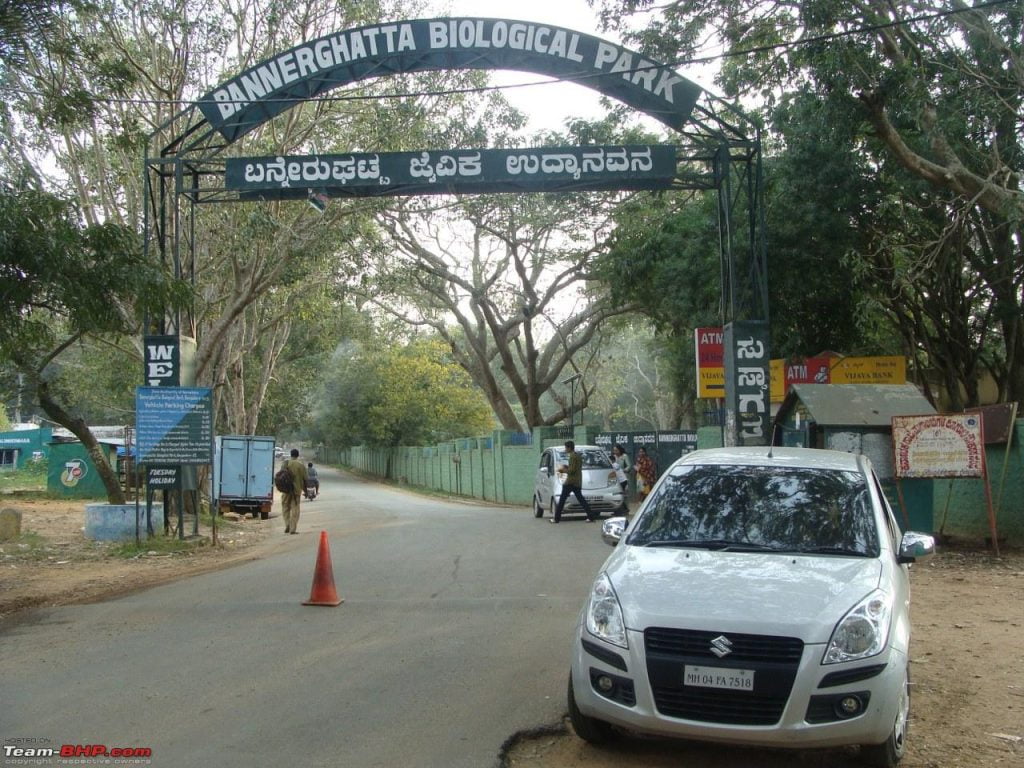 ബെന്നാർഘട്ട നാഷണല്‍ പാര്‍ക്കില്‍ പുള്ളിപ്പുലി സഫാരി ആരംഭിക്കുന്നു