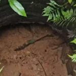 നിറഞ്ഞ കിണര്‍ ഭൂചലനത്തിനു പിന്നാലെ വറ്റിവരണ്ടു