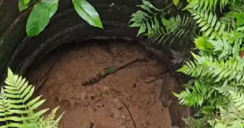 നിറഞ്ഞ കിണര് ഭൂചലനത്തിനു പിന്നാലെ വറ്റിവരണ്ടു