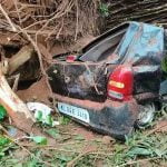 വാഹനത്തിന് മുകളിലേക്ക് മരം വീണു; കാര്‍ യാത്രക്കാരന് ദാരുണാന്ത്യം