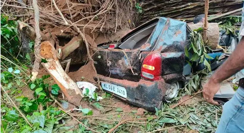 വാഹനത്തിന് മുകളിലേക്ക് മരം വീണു; കാര് യാത്രക്കാരന് ദാരുണാന്ത്യം
