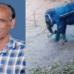 തളയ്ക്കുന്നതിനിടെ ആനയുടെ ചവിട്ടേറ്റ് പാപ്പാൻ മരിച്ചു