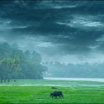 ഇടിയോട് കൂടിയ മഴ തുടരും; ഇന്ന് ഒരു ജില്ലയിലും പ്രത്യേക മഴ മുന്നറിയിപ്പില്ല