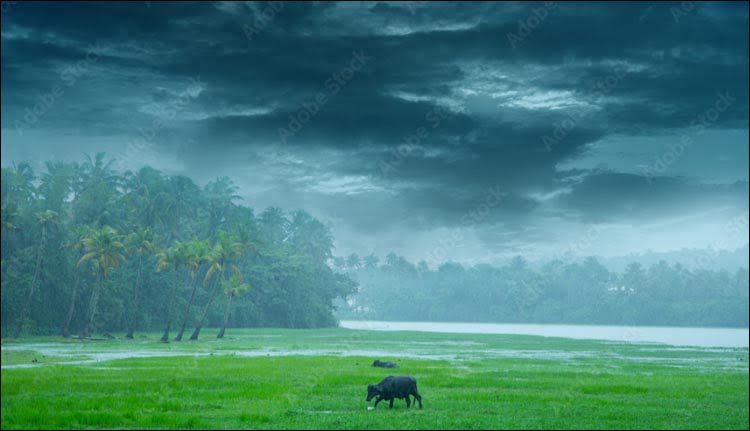 ഇന്ന് പ്രത്യേക മഴ മുന്നറിയിപ്പില്ല; വരും മണിക്കൂറിൽ മൂന്ന് ജില്ലകളിൽ മഴ, ഉയർന്ന തിരമാലയ്ക്കും സാധ്യത