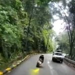 ജീപ്പിനെ ഓവർടേക്ക് ചെയ്തെത്തിയ ബൈക്ക് ബസിന് മുന്നിലേക്ക് ഇടിച്ചുകയറി; 18 വയസുകാരൻ മരിച്ചു