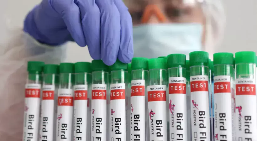 പക്ഷിപ്പനിയിൽ കൂടുതൽ ജാഗ്രത; പ്രത്യേക മാര്‍ഗനിര്‍ദേശങ്ങള്‍ പുറത്തിറക്കി ആരോഗ്യ വകുപ്പ്