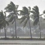 വയനാട്ടിൽ ദുരിതാശ്വാസ ക്യാമ്പ് പ്രവർത്തിക്കുന്ന സ്കൂളുകൾക്കും അംഗണവാടികൾക്കും നാളെ അവധി