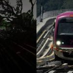 കനത്ത മഴ; ട്രാക്കിലേക്ക് മരം വീണ് മെട്രോ ട്രെയിൻ സർവീസ് തടസപ്പെട്ടു