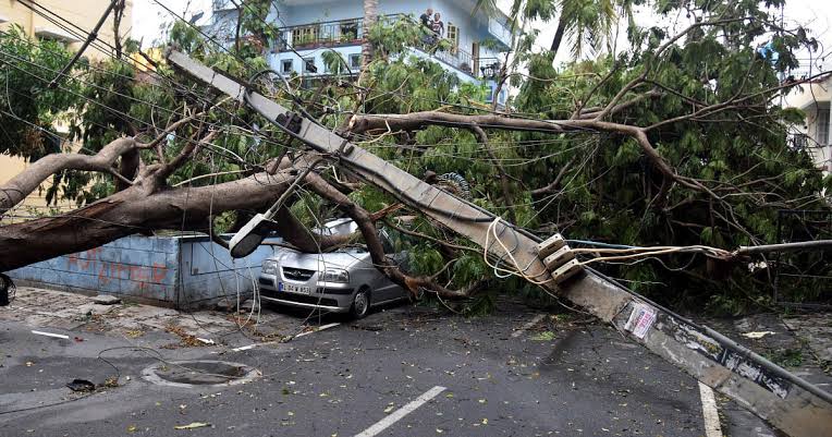 കനത്ത മഴ; ബെംഗളൂരുവിൽ ഒറ്റദിവസം 21 മരങ്ങൾ കടപുഴകി