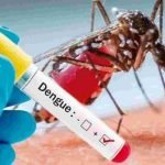 ഡെങ്കിപ്പനി കേസുകളിൽ വർധന; നിയന്ത്രണ നടപടിയുമായി ബിബിഎംപി