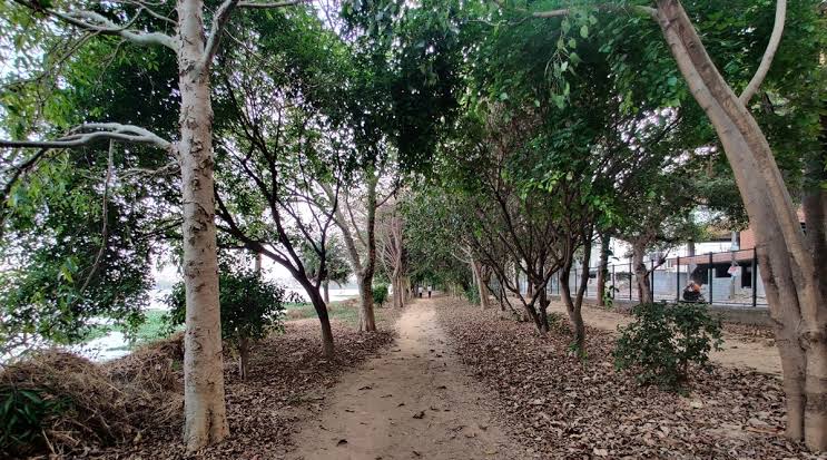 ബെംഗളൂരുവിൽ ആകെ 94,000 മരങ്ങൾ ഉണ്ടെന്ന് സർവേ റിപ്പോർട്ട്‌