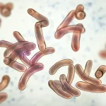 തിരുവനന്തപുരത്ത് പത്തുവയസുകാരന് കോളറ സ്ഥിരീകരിച്ചു