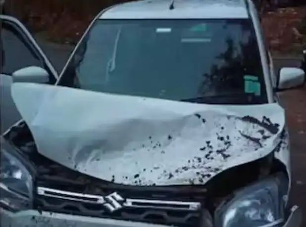 ഓടിക്കൊണ്ടിരുന്ന കാറിന് മുകളില്‍ മരം വീണ് അപകടം