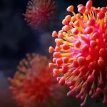 ഗുജറാത്തില്‍ ചന്ദിപുര വൈറസ് ബാധ; രണ്ടു കുട്ടികള്‍ കൂടി മരിച്ചു